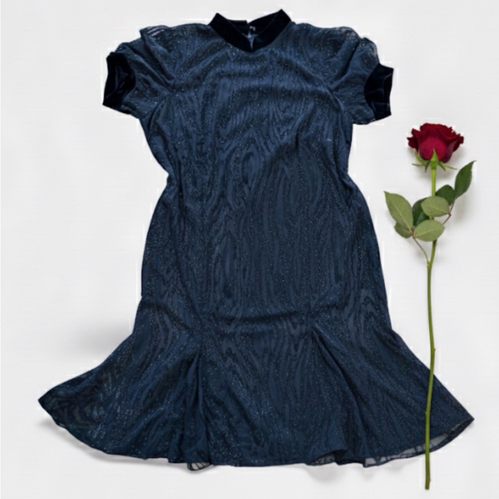 Shimmer Sheer Drop Waist Dress with a touch of whimsy — No Size Label.